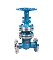 WZ41H-16P���y���l�y